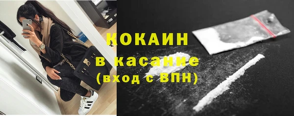 мдпв Заводоуковск
