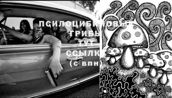 мдпв Заводоуковск