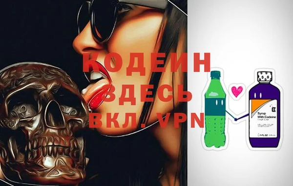 мдпв Заводоуковск