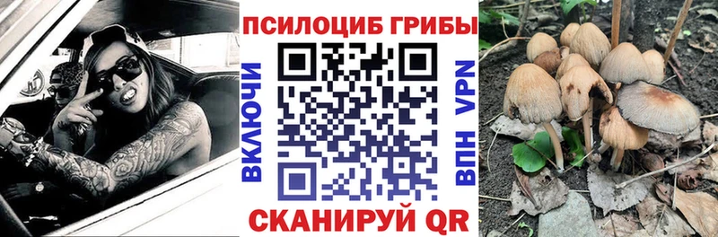 Псилоцибиновые грибы Magic Shrooms  Купить где  Сельцо 